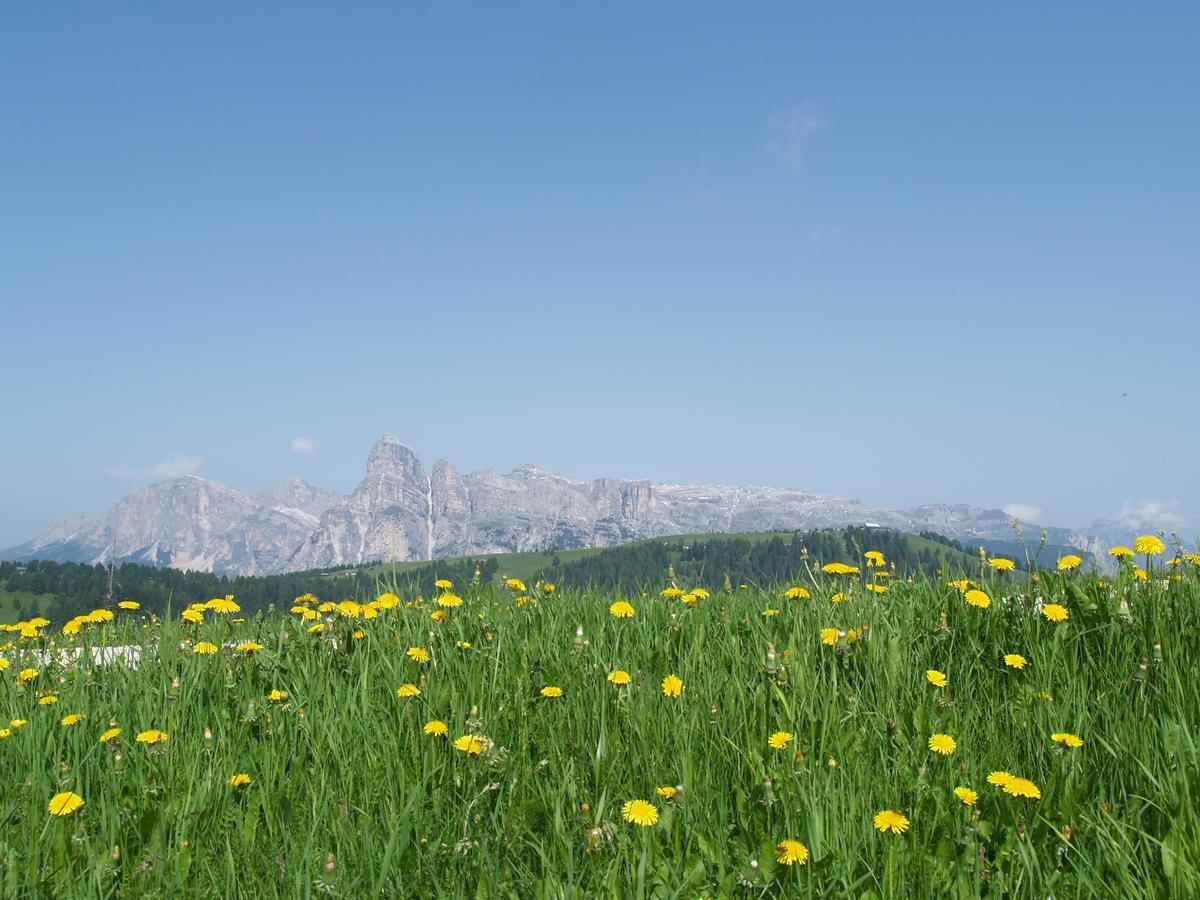 Residence Vajolet San Cassiano Exteriér fotografie