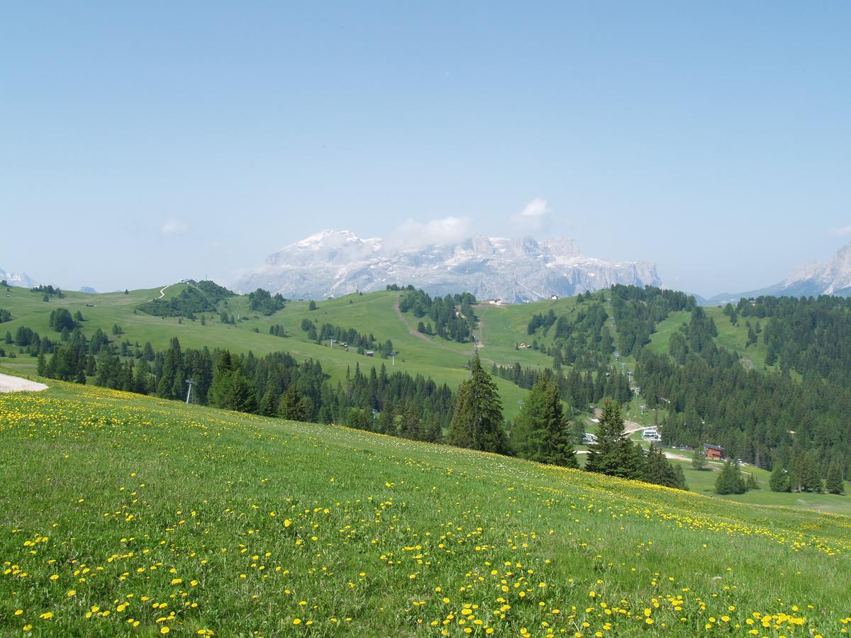 Residence Vajolet San Cassiano Exteriér fotografie